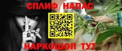 шишки Тверь