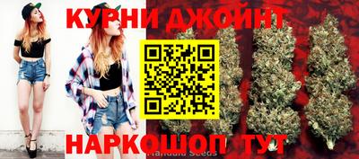 шишки Тверь