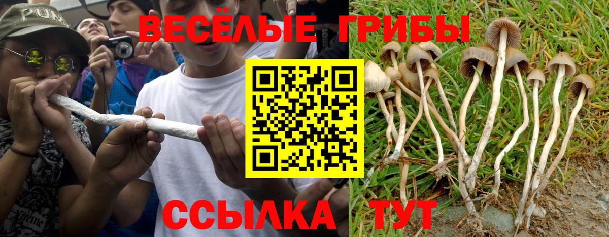 Псилоцибиновые грибы ЛСД Мытищи